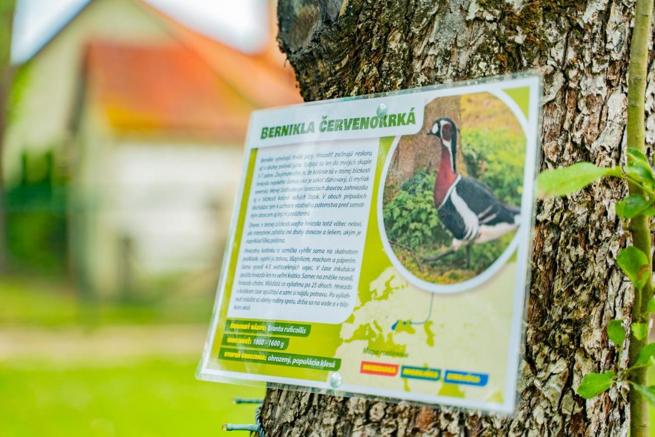 Farma Zelena Ruza Βίλα Klacno Εξωτερικό φωτογραφία